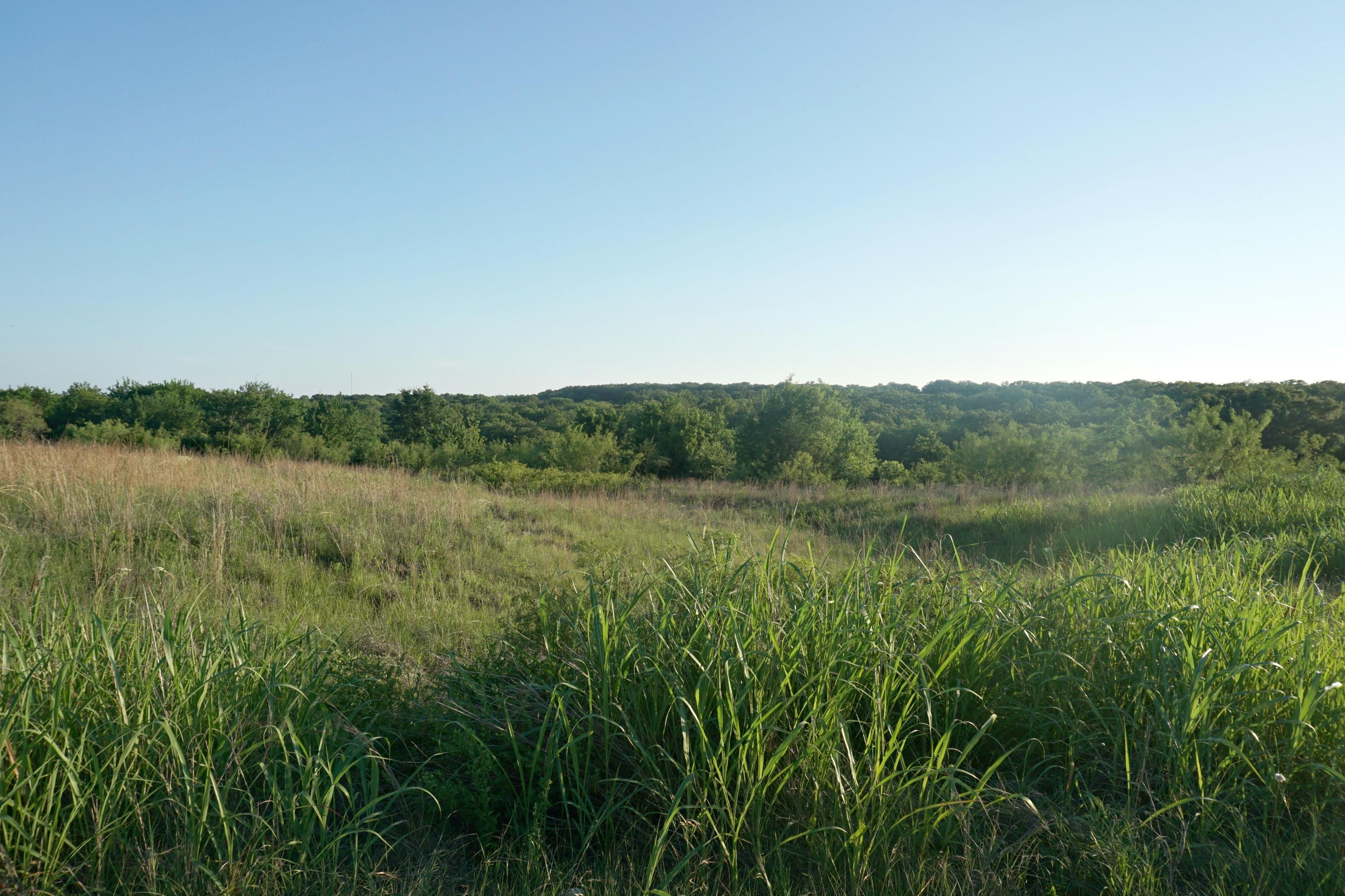 80 acres in Carter County, Oklahoma