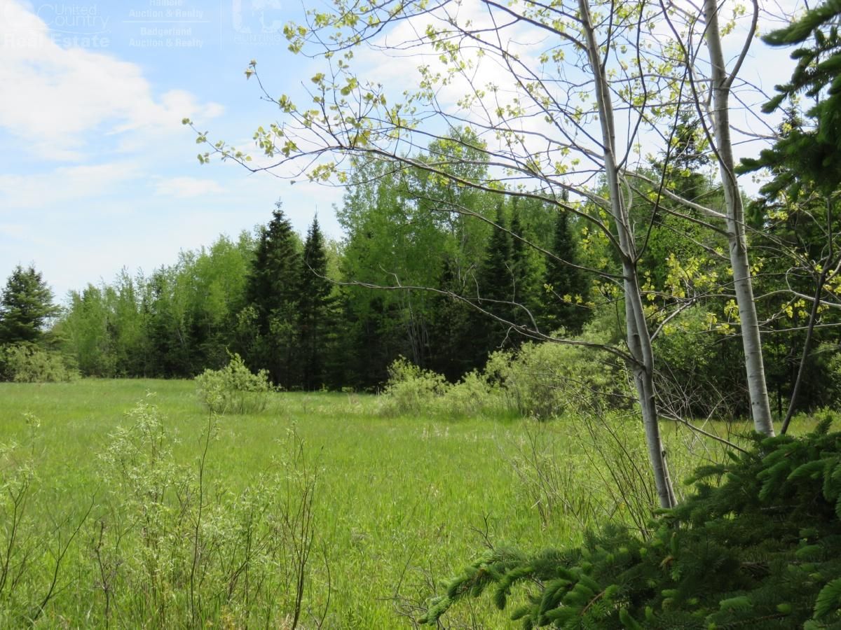 80 acres in Bayfield County, Wisconsin