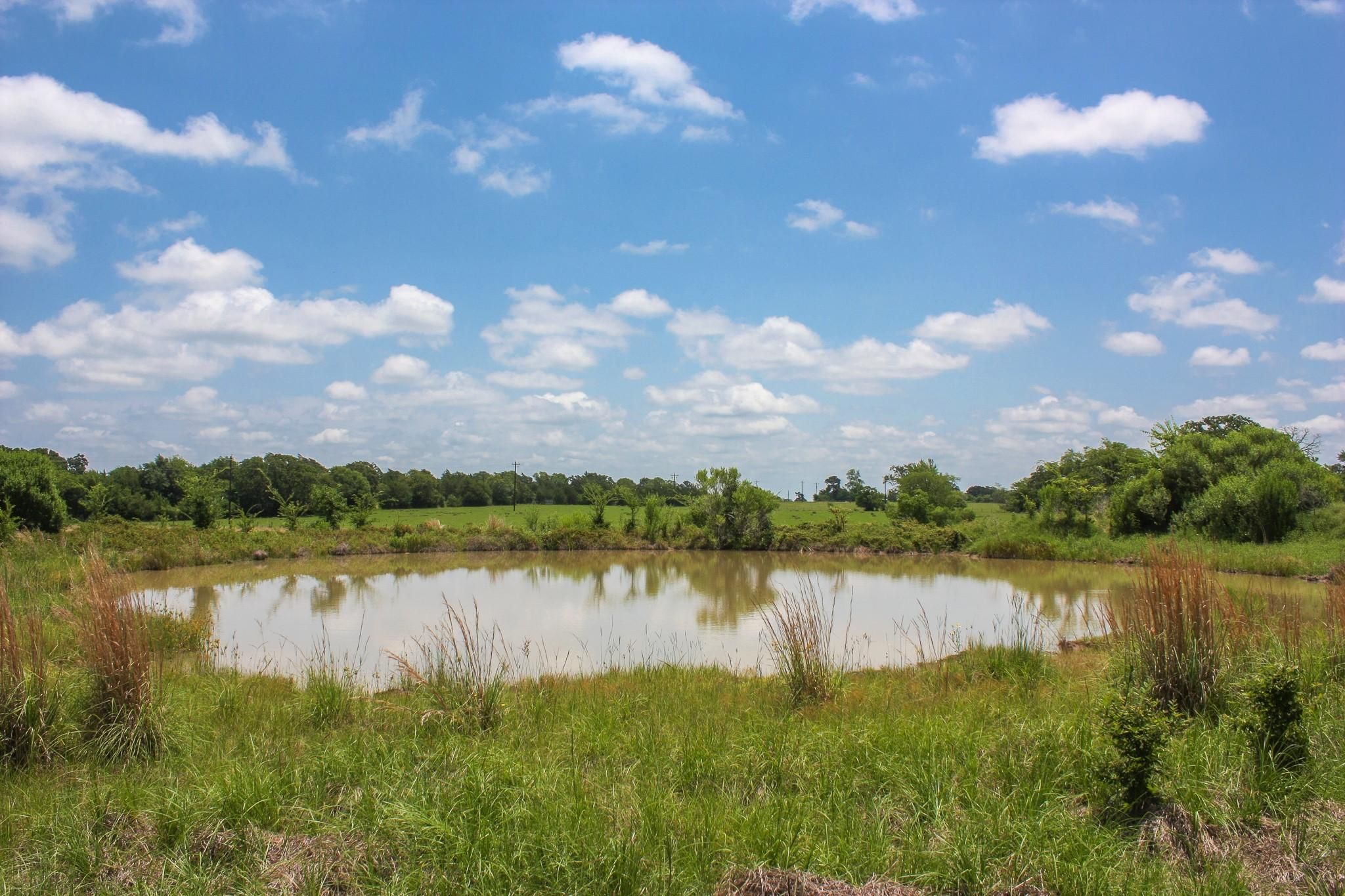 17 acres in Grimes County, Texas