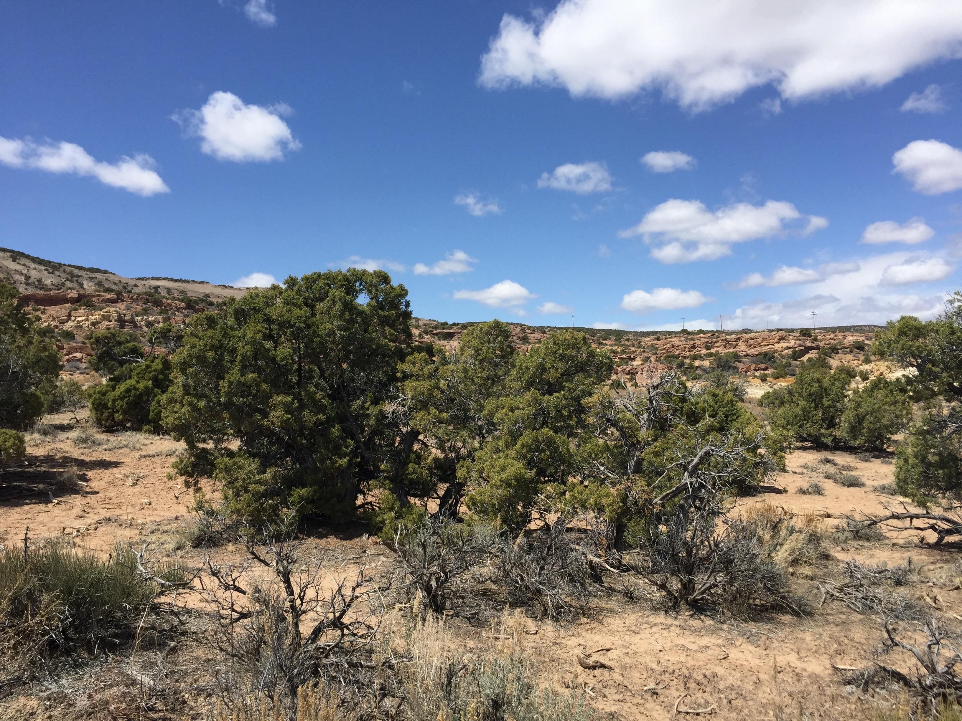 5 acres in Duchesne County, Utah
