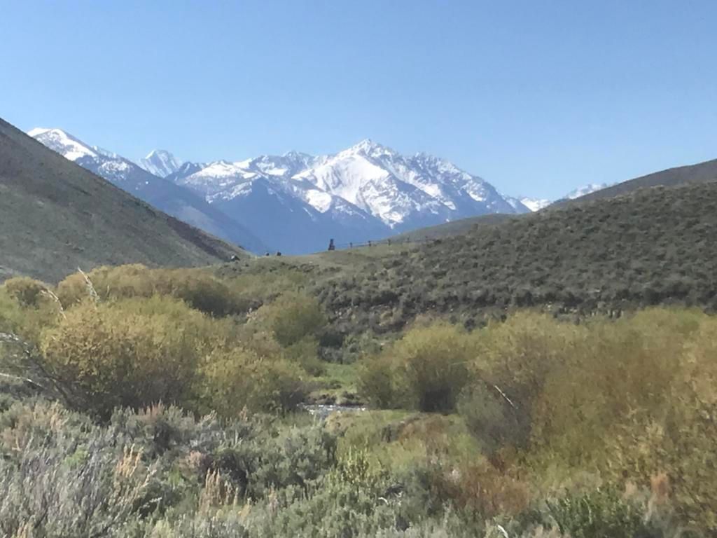 120 acres in Custer County, Idaho