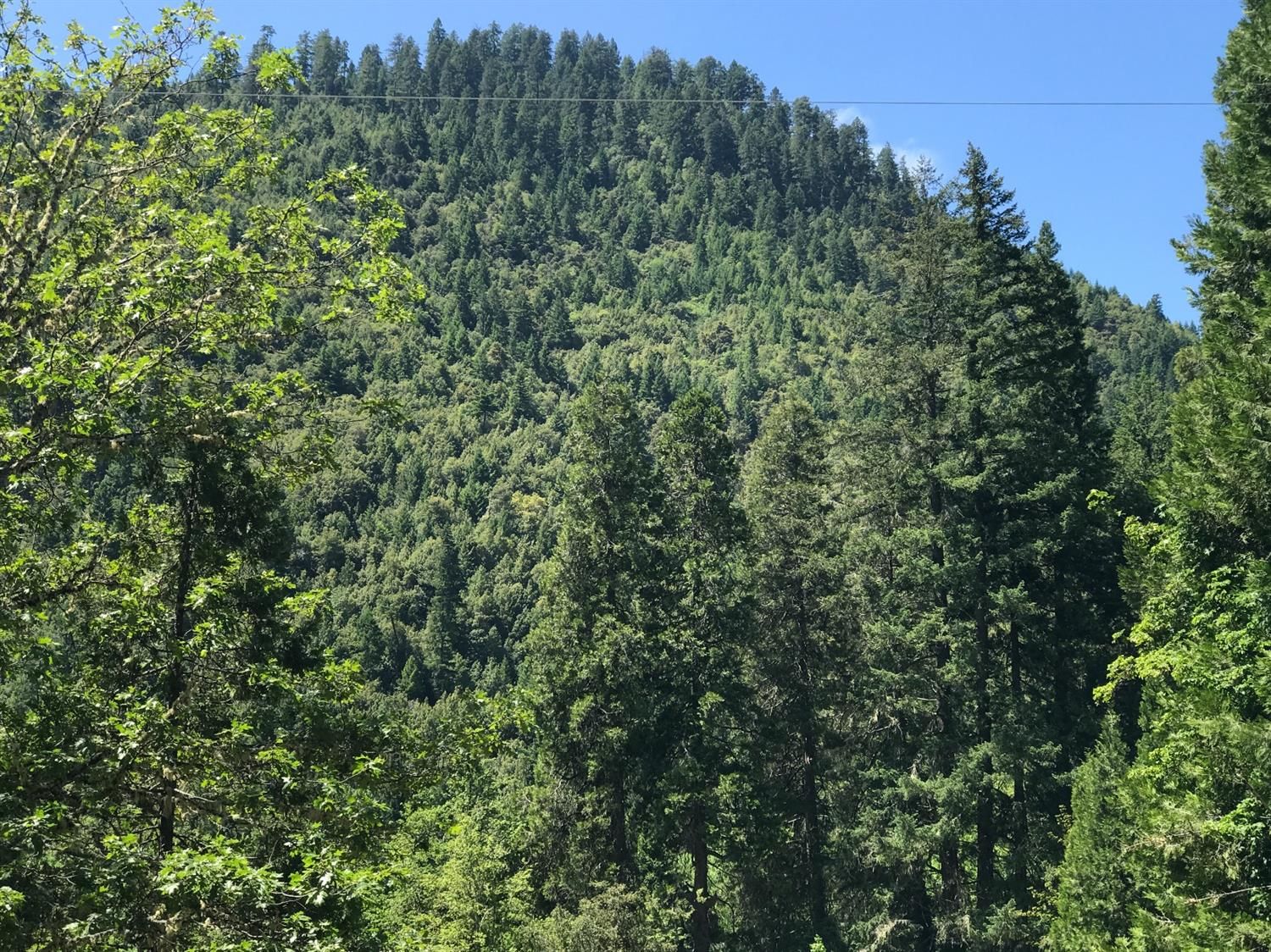 40 acres in Josephine County, Oregon