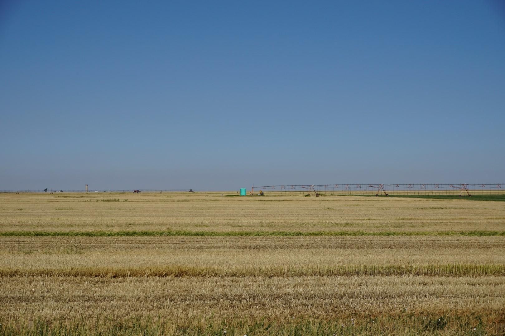 1,440 acres in Dallam County, Texas