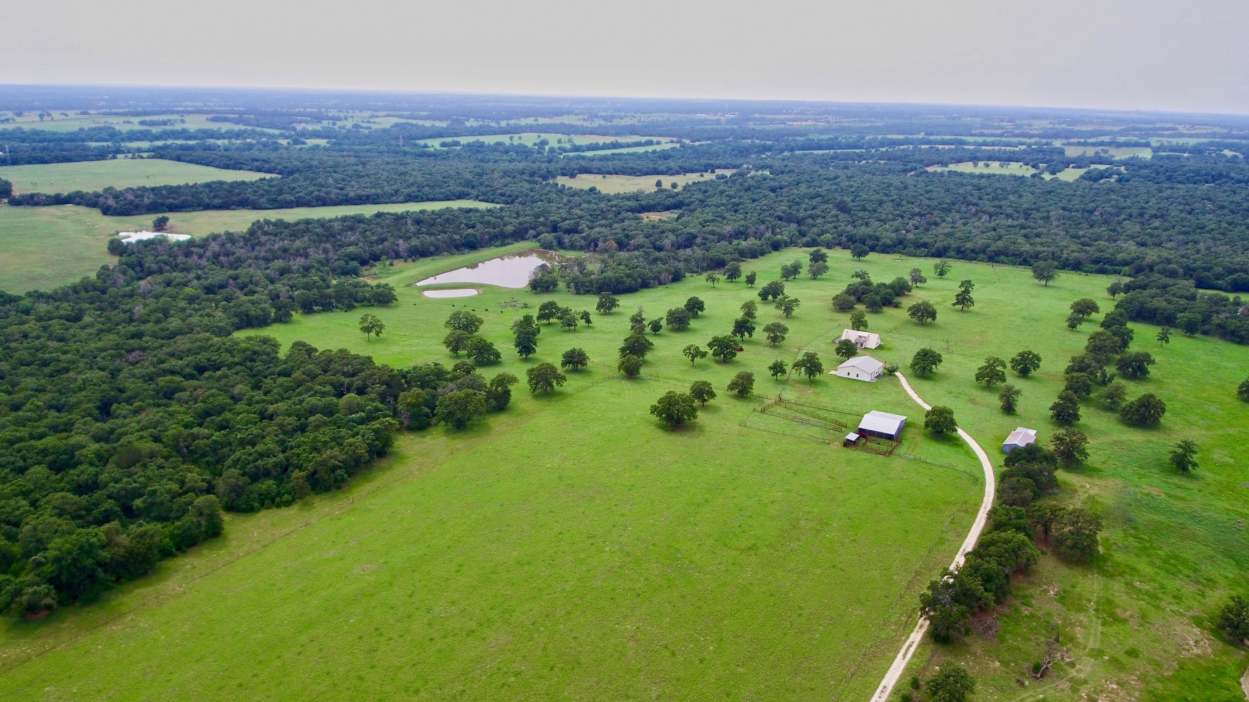 91.5 acres in Lee County, Texas
