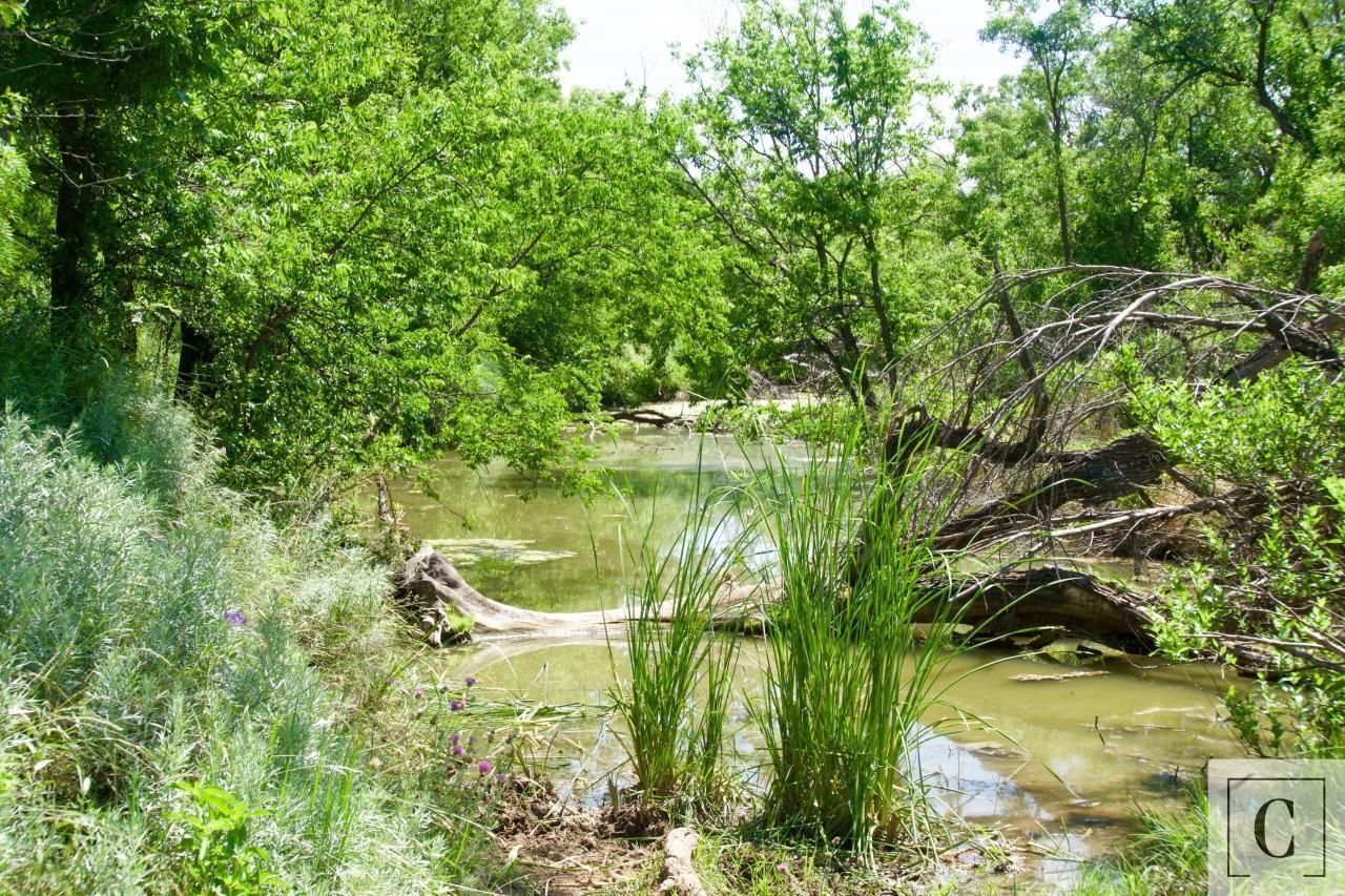 1,412 acres in Throckmorton County, Texas