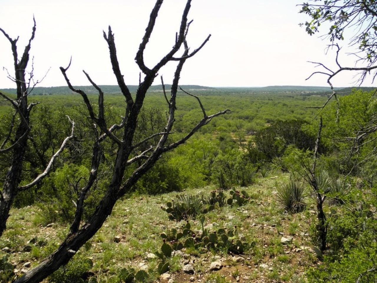 520 acres in Stephens County, Texas