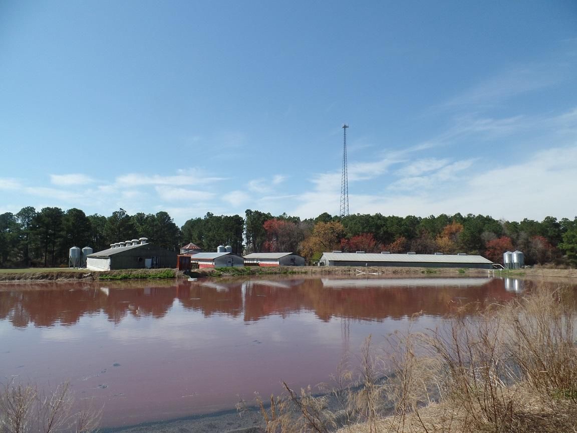 33.64 acres in Bladen County, North Carolina