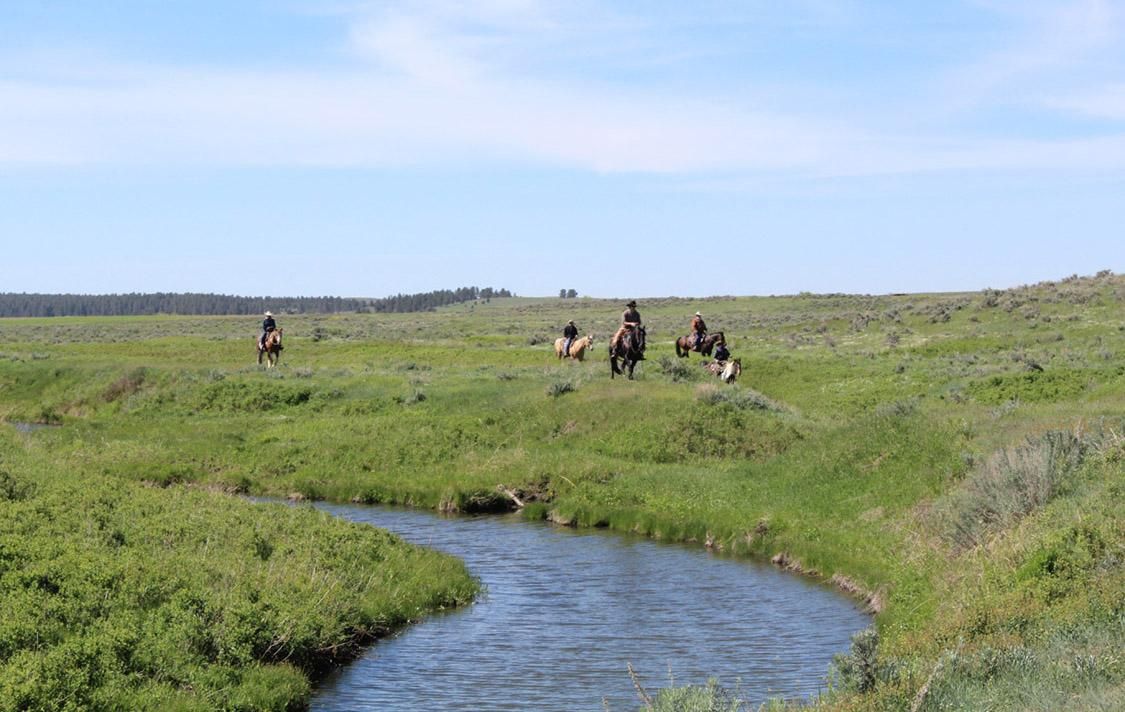 2,500 acres in Crook County, Wyoming