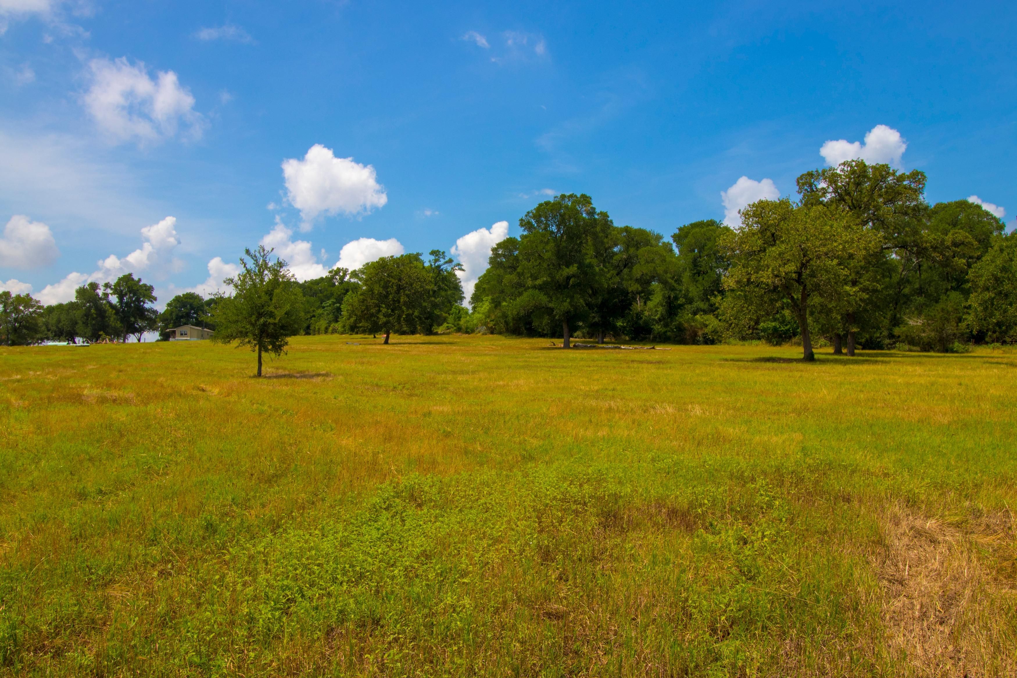 20 acres in Bastrop County, Texas