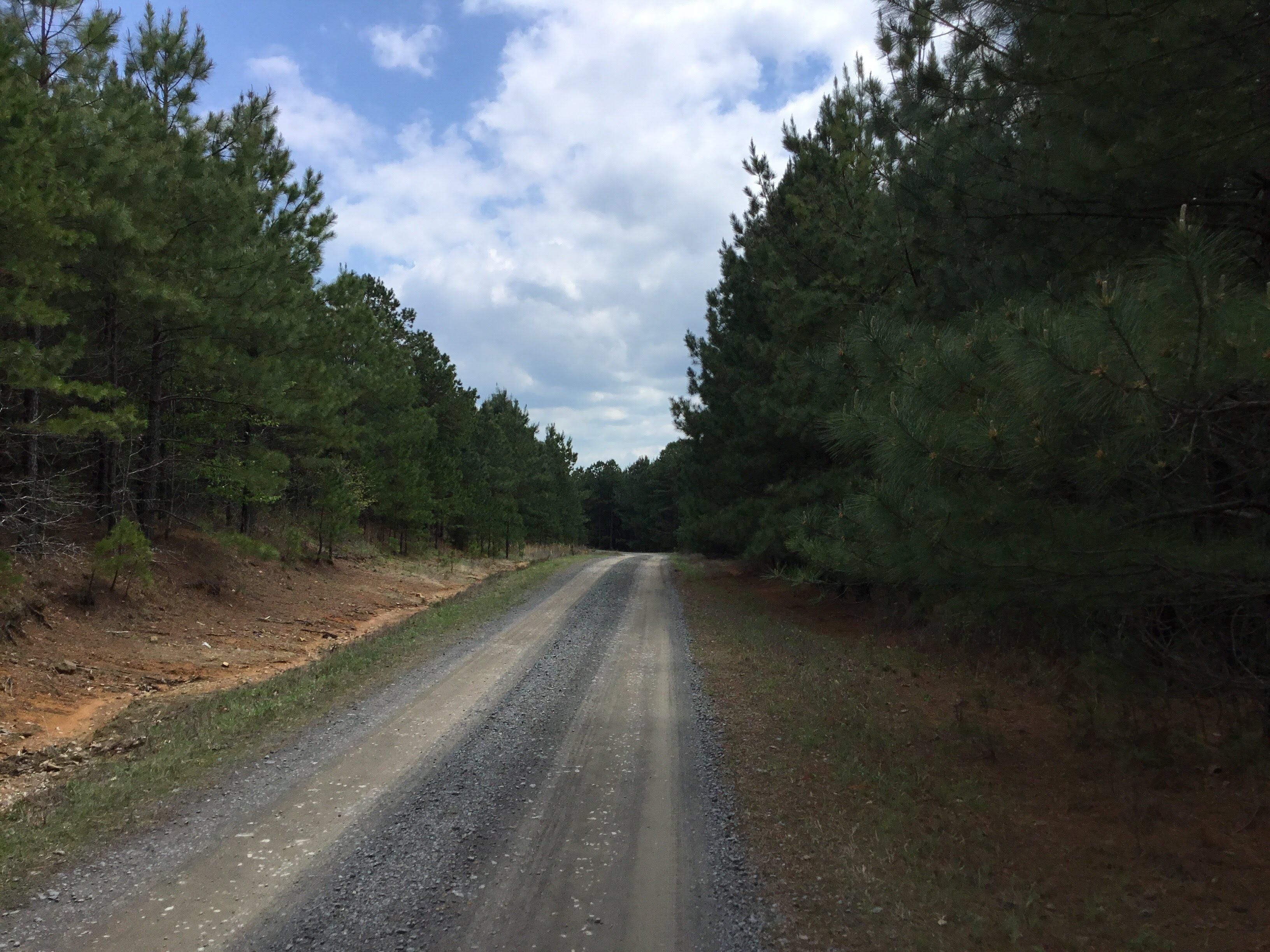 118 acres in Cleburne County, Arkansas