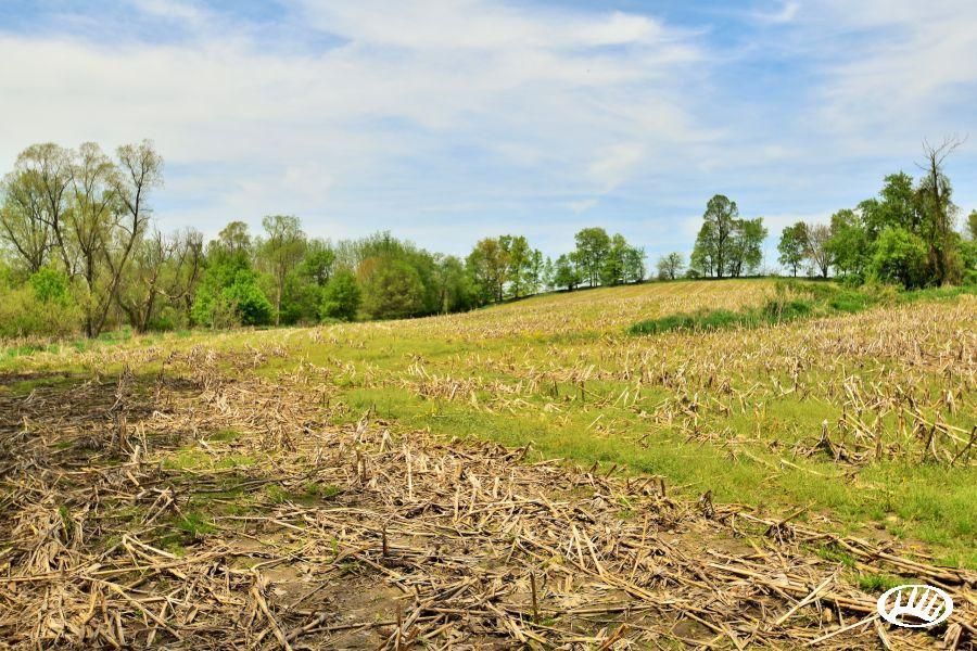 40 acres in Steuben County, Indiana
