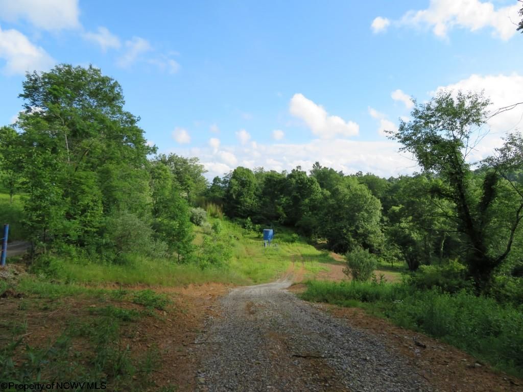 59 acres in Barbour County, West Virginia