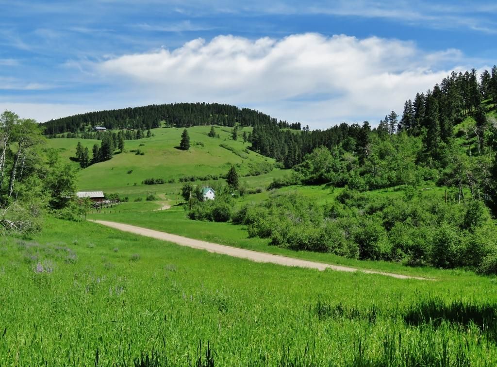 611 acres in Fergus County, Montana