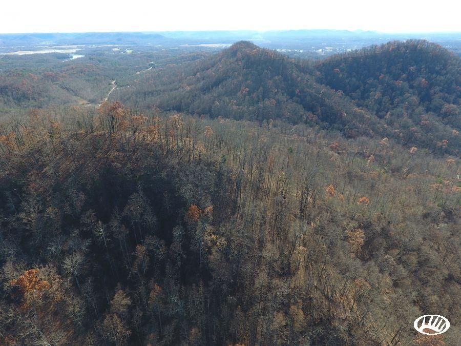 214 acres in Powell County, Kentucky