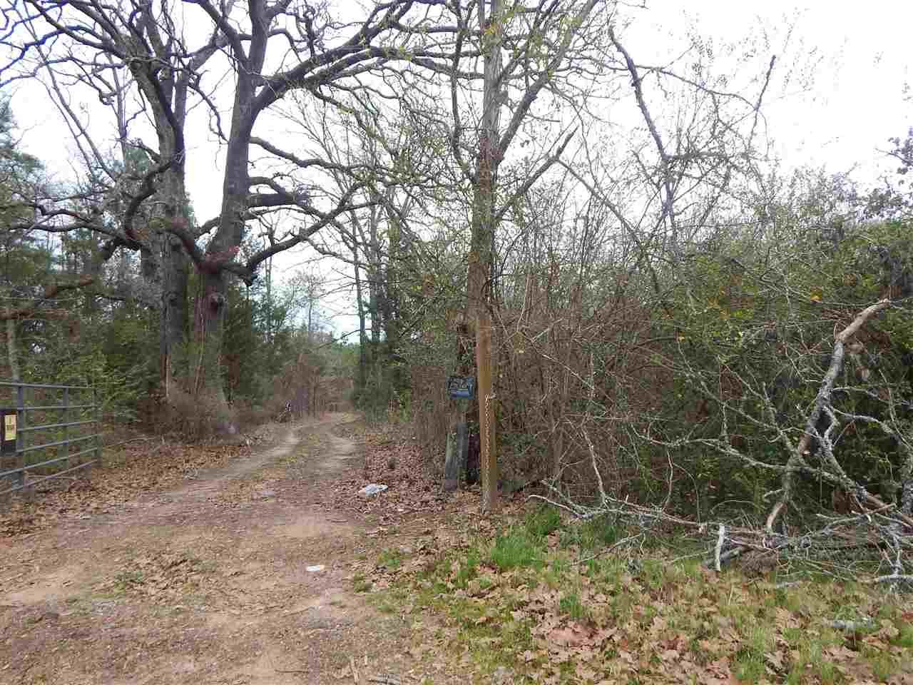 66 acres in Morris County, Texas