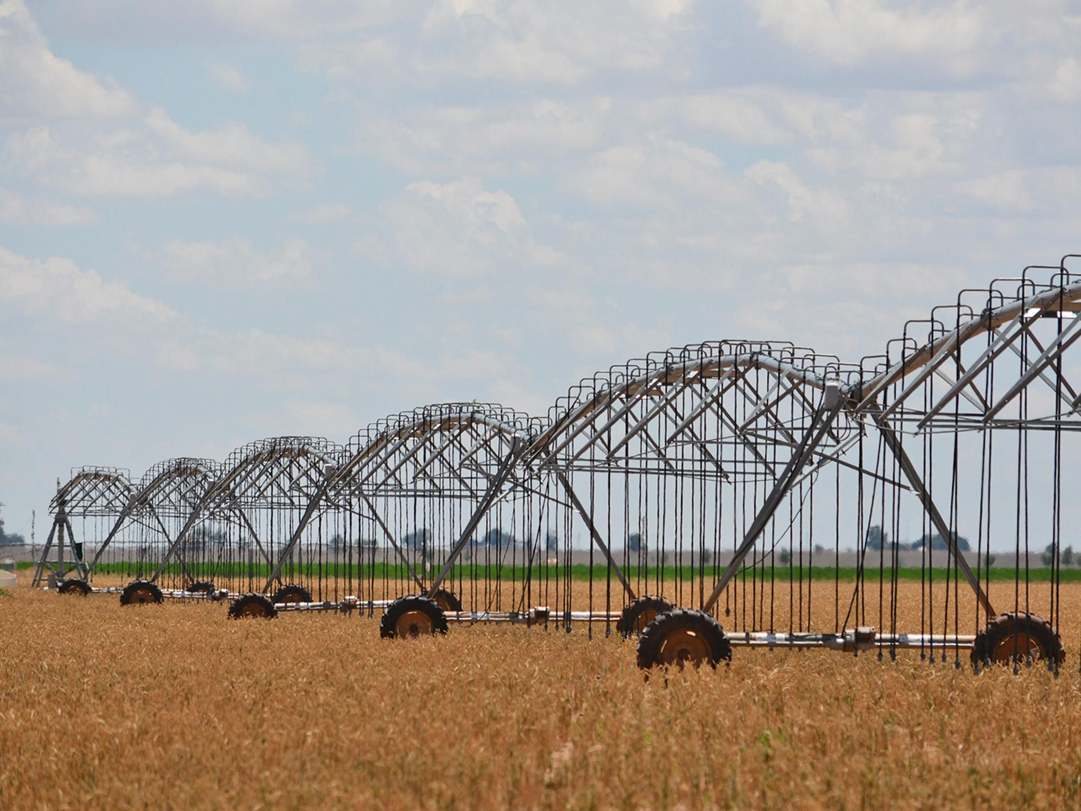 480 acres in Castro County, Texas