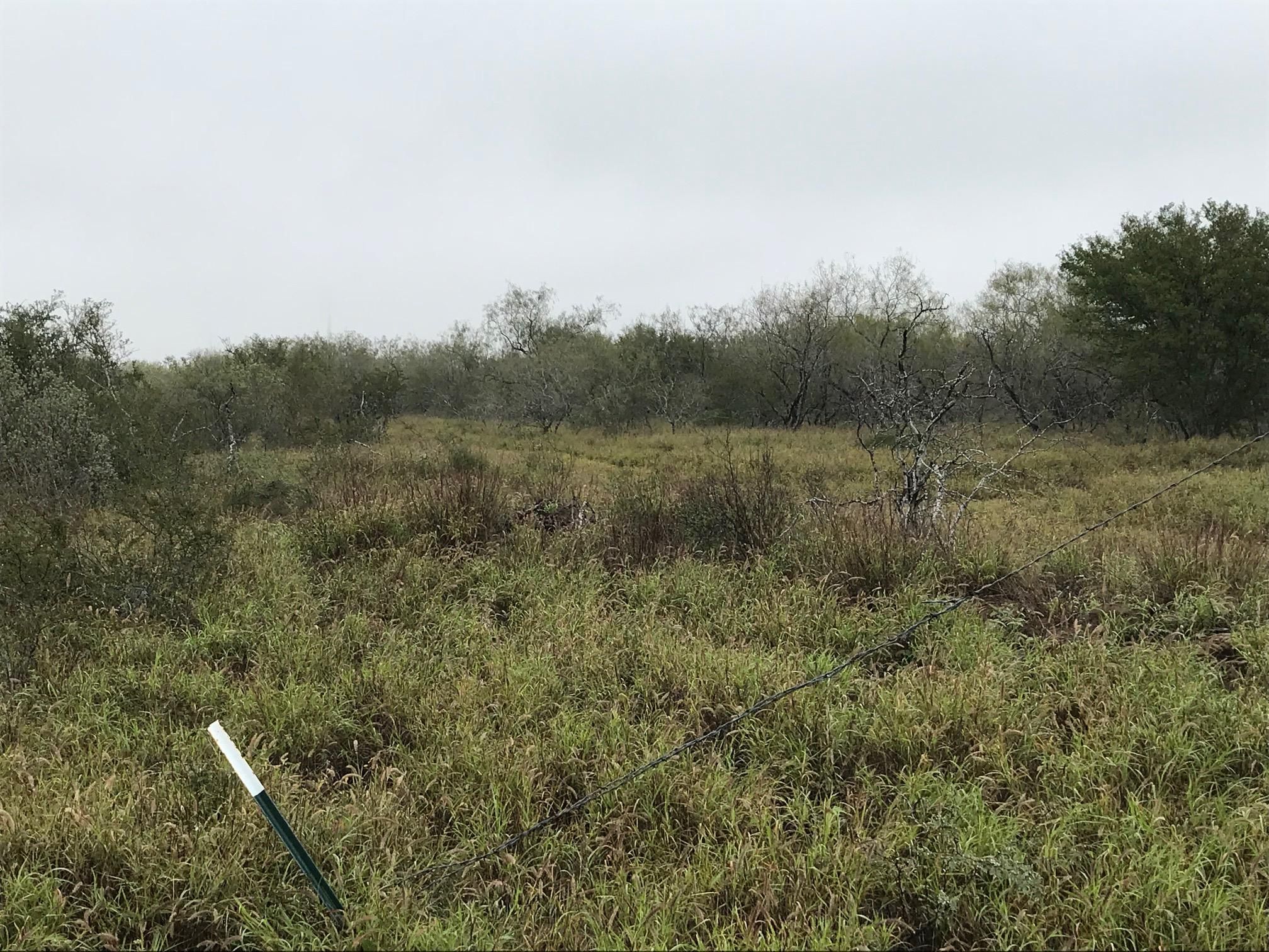 263 acres in Starr County, Texas