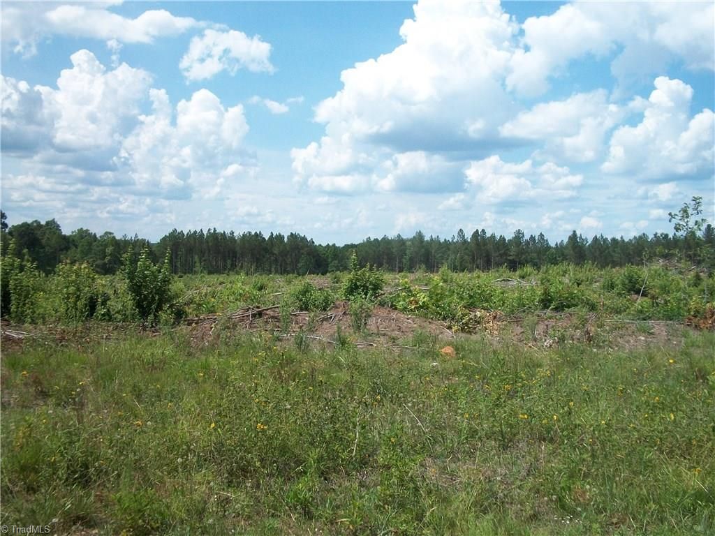 11 acres in Montgomery County, North Carolina