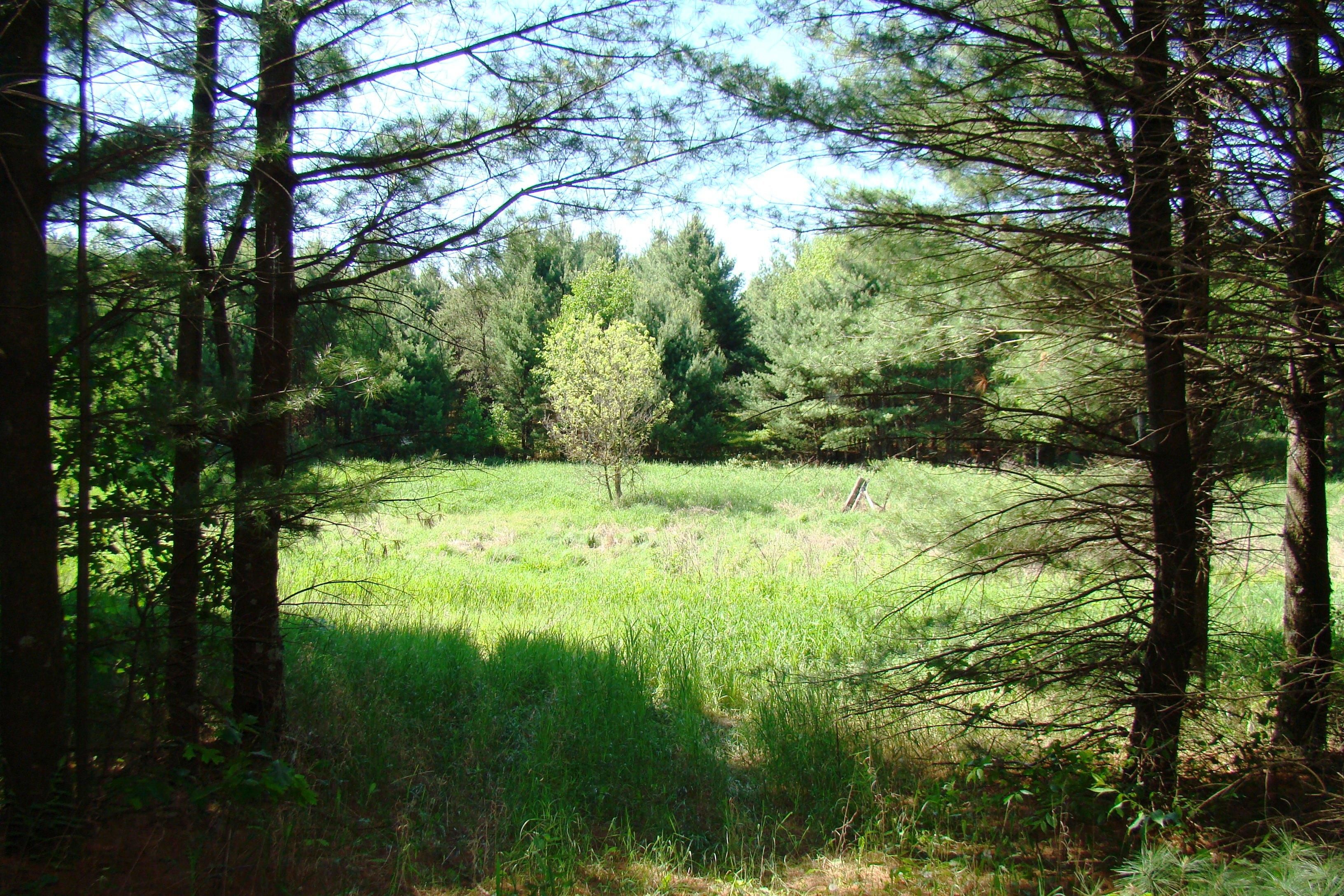 16 acres in Jackson County, Wisconsin