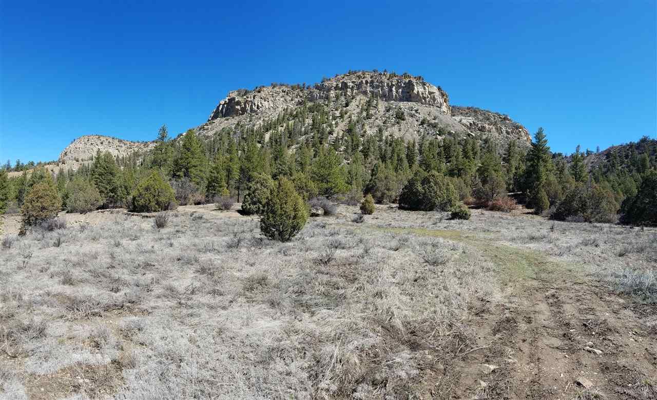 160 acres in Rio Arriba County, New Mexico