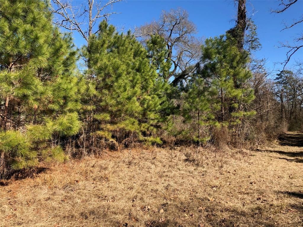 5.02 acres in Montgomery County, Texas