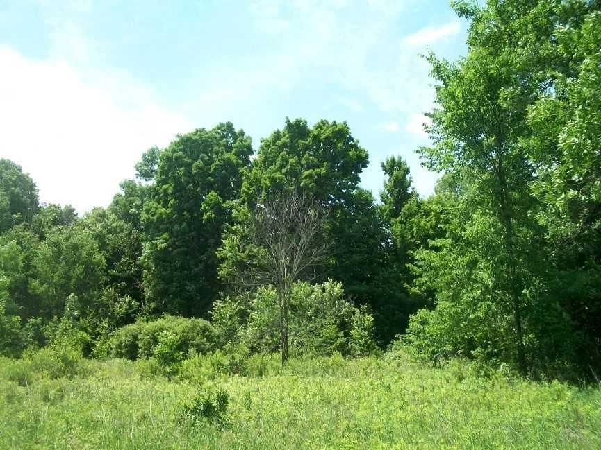 80 acres in Taylor County, Wisconsin
