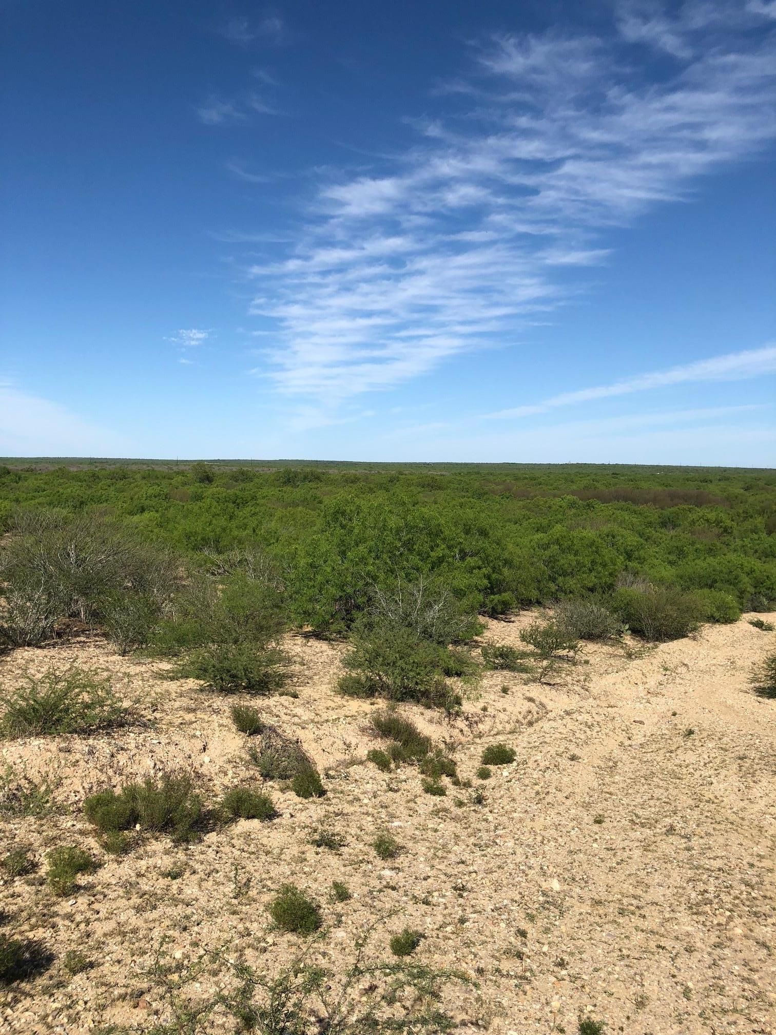 111 acres in Starr County, Texas