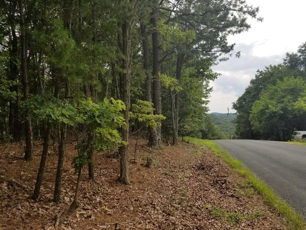 13.4 acres in Lynchburg City County, Virginia