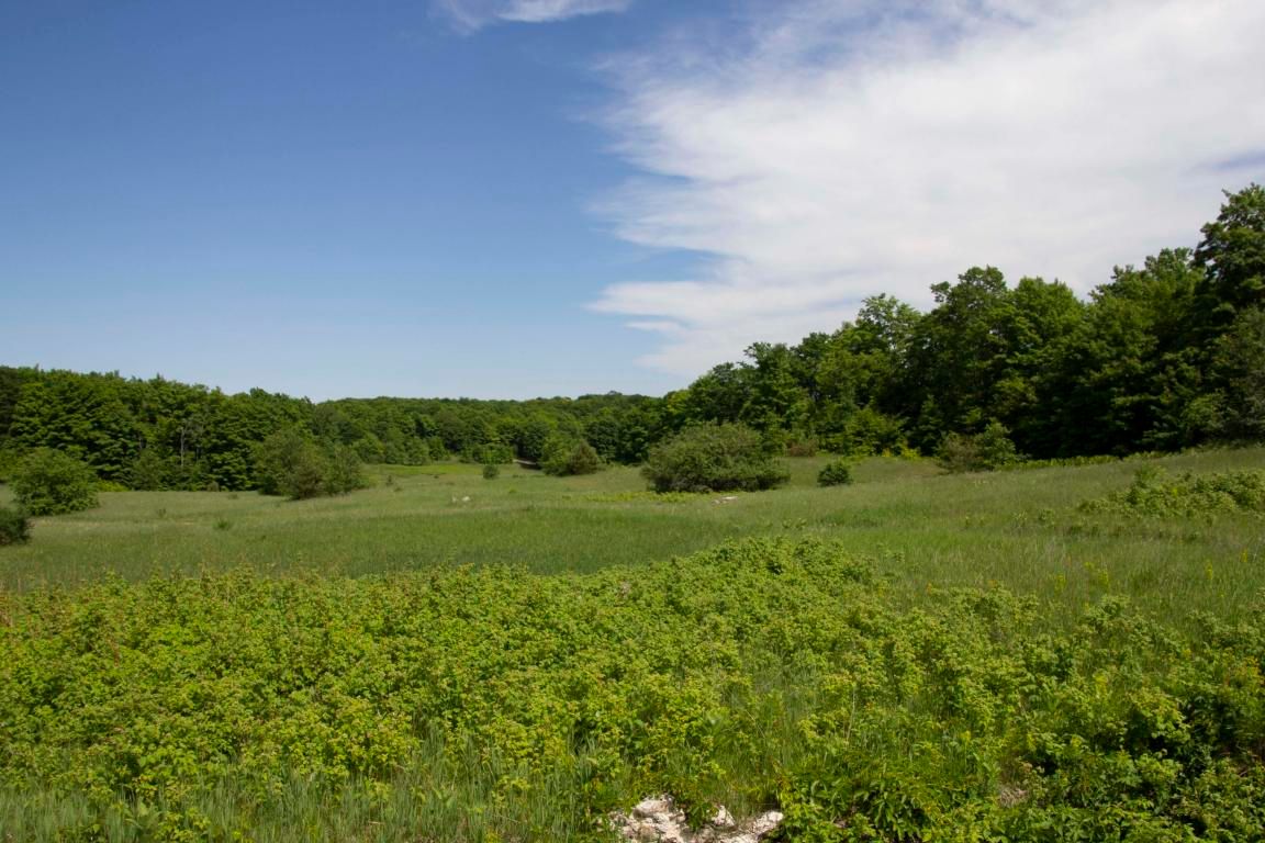 120 acres in Antrim County, Michigan