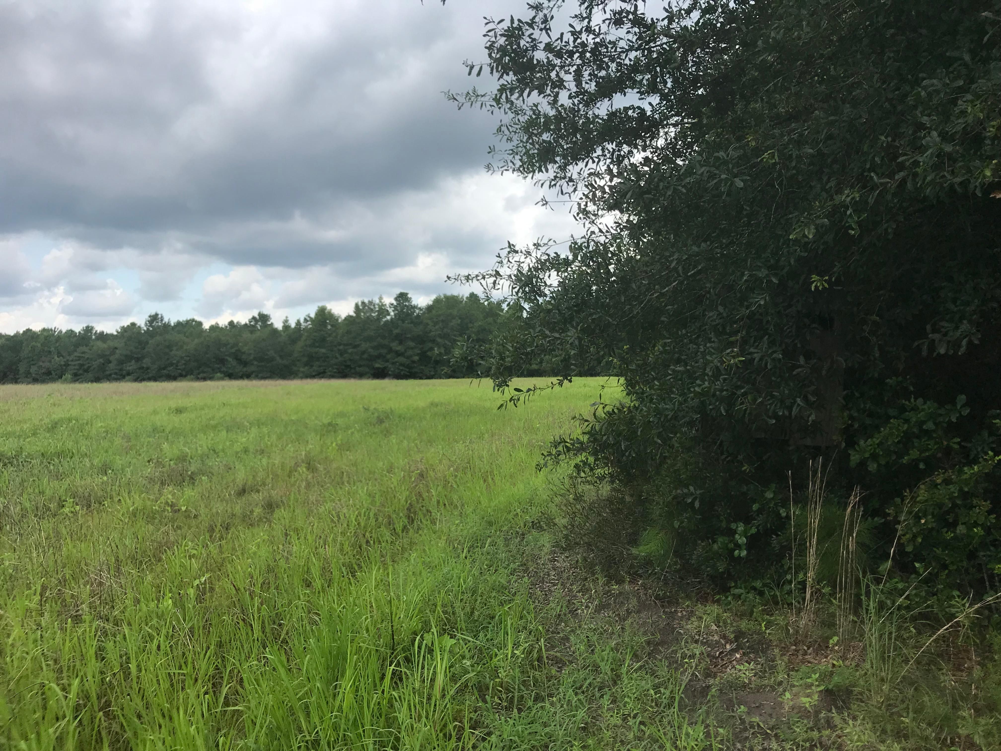 Cramer Road, Rowesville, SC 29133