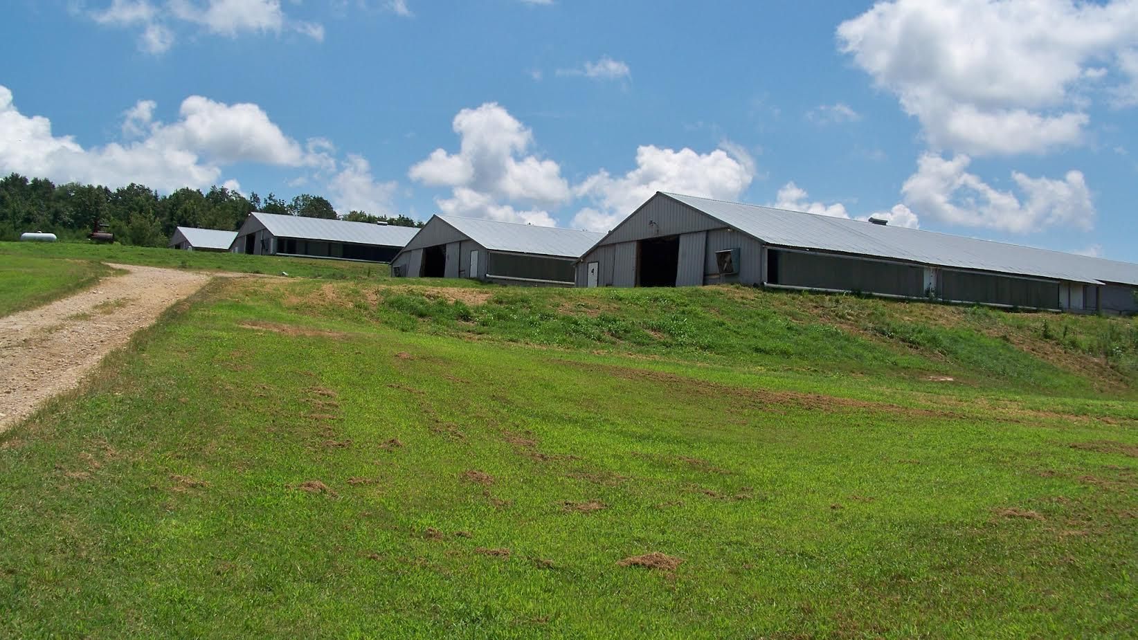 32 acres in Etowah County, Alabama