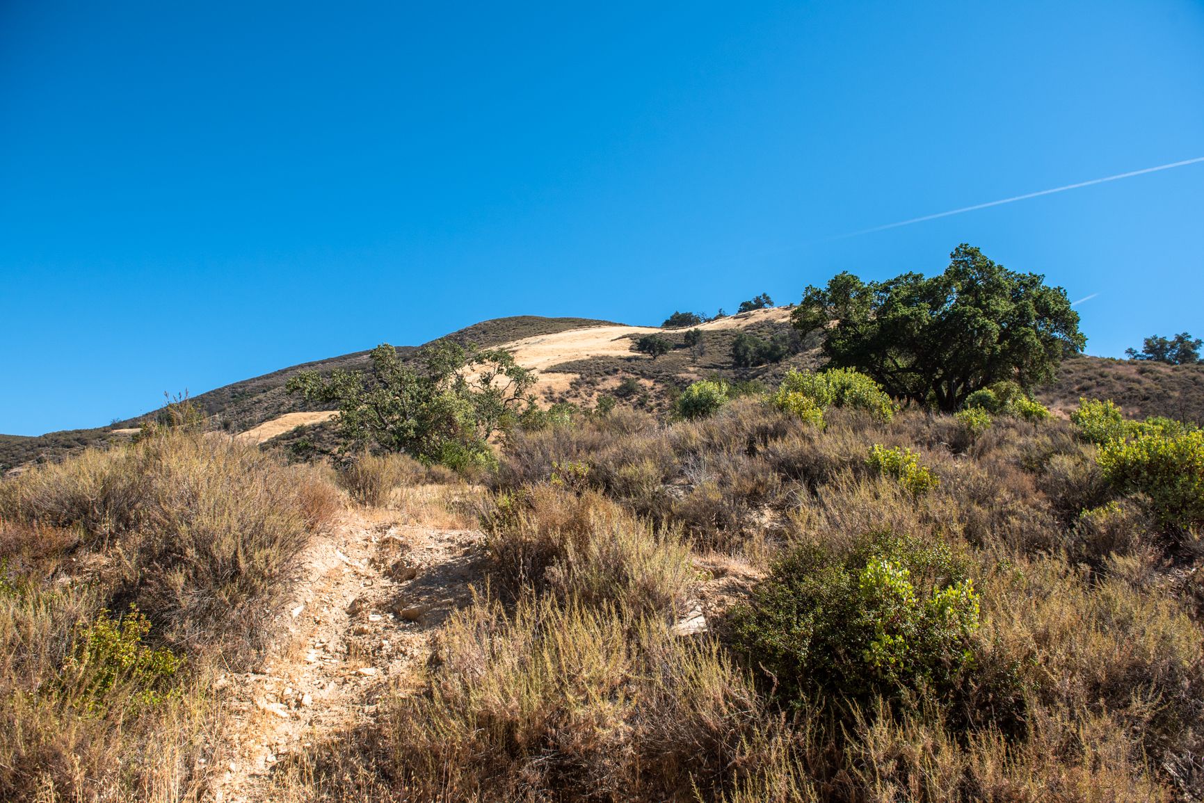 104 acres in Monterey County, California