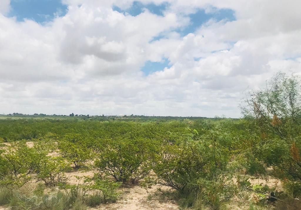6 acres in Ector County, Texas