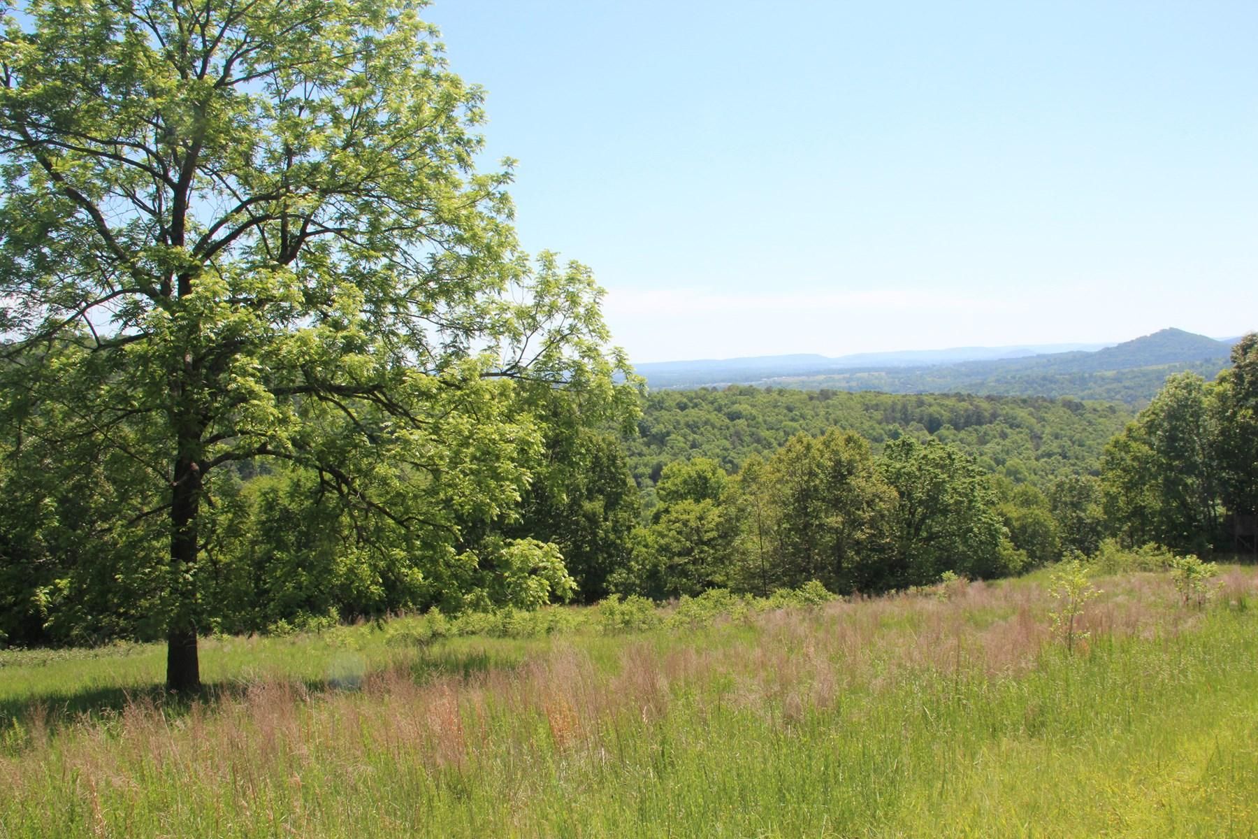 90 acres in Carroll County, Arkansas