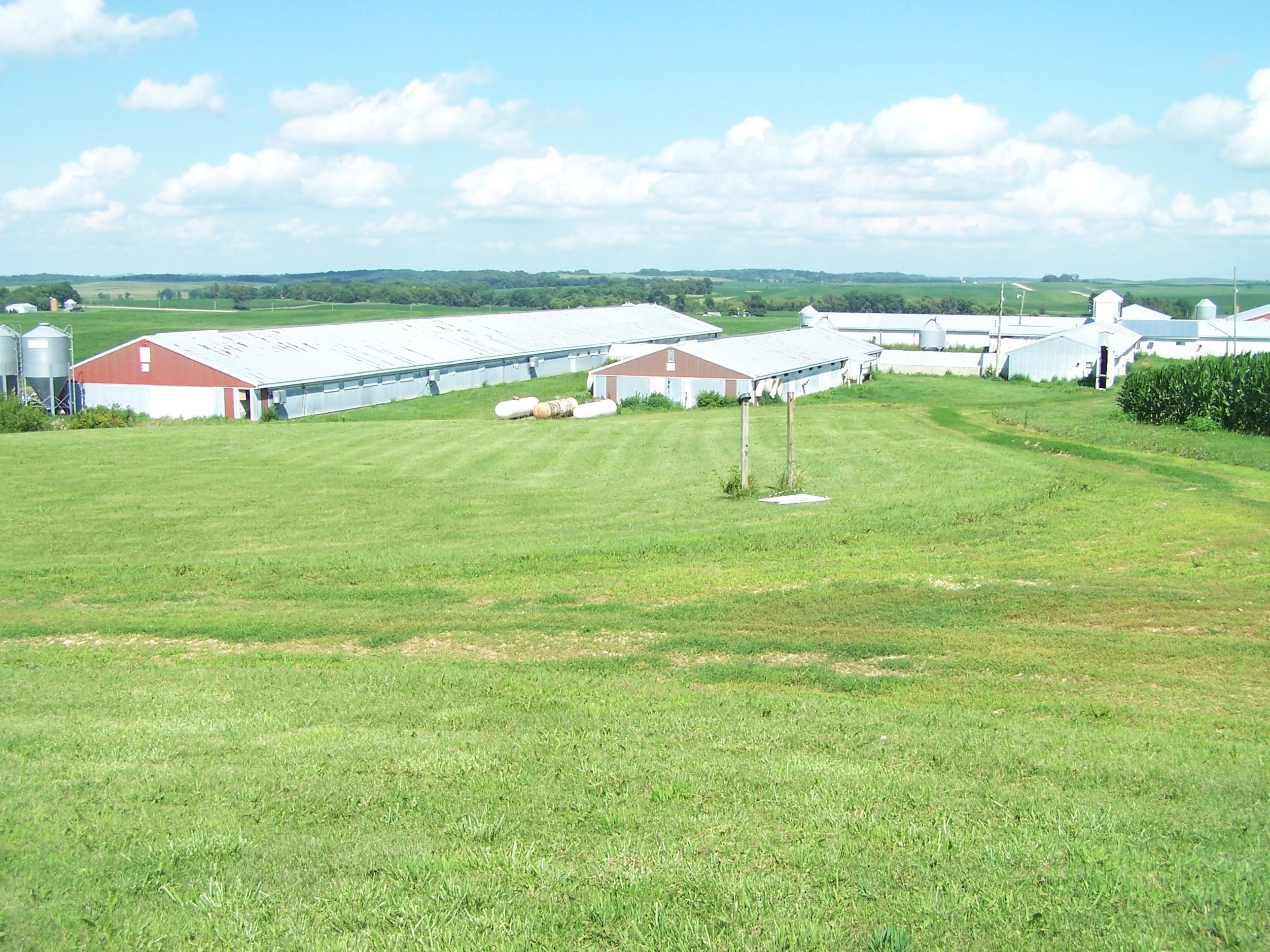 41.19 acres in Cedar County, Iowa