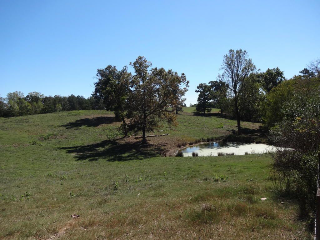 30.5 acres in Grainger County, Tennessee