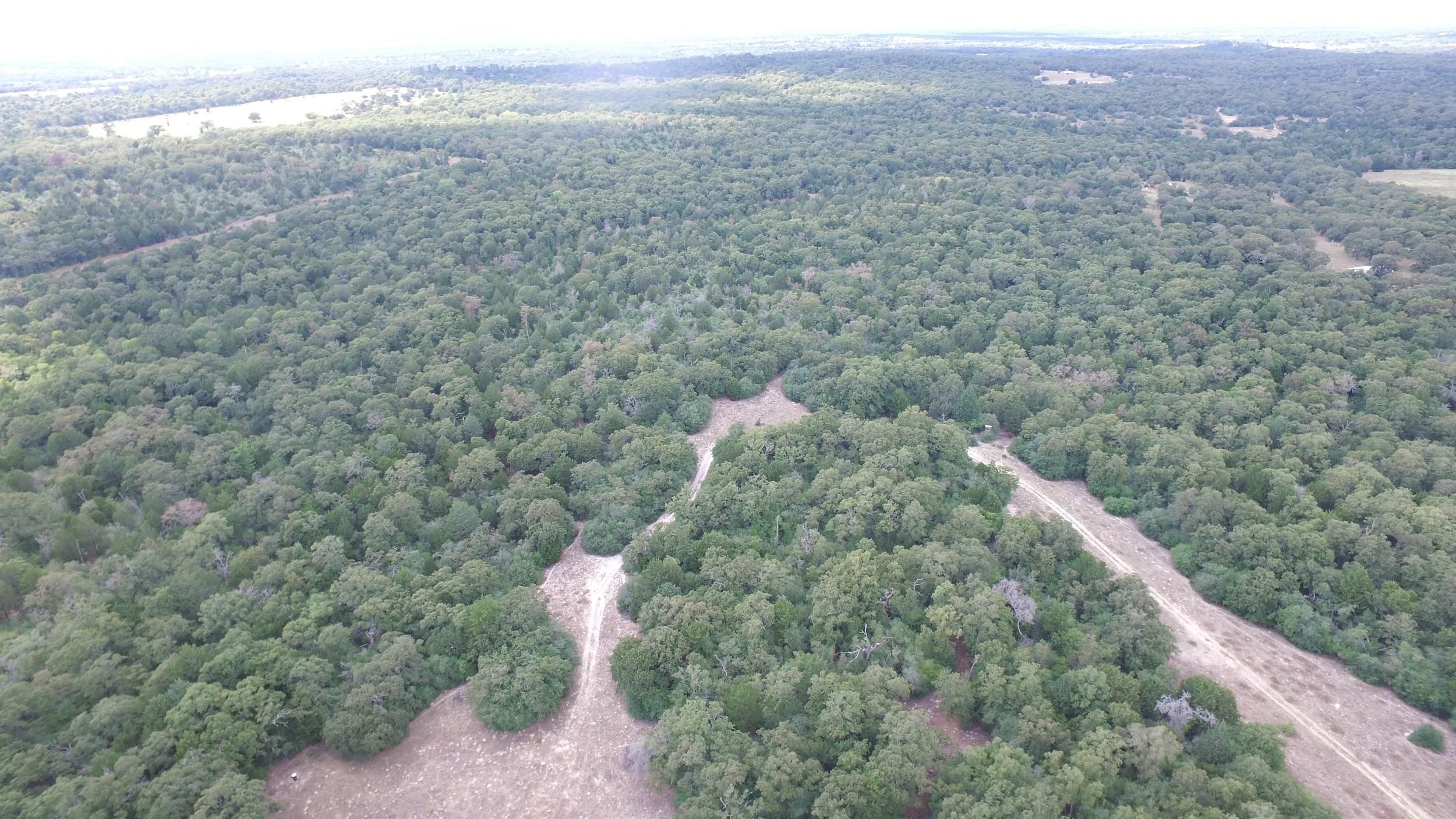 65 acres in Milam County, Texas