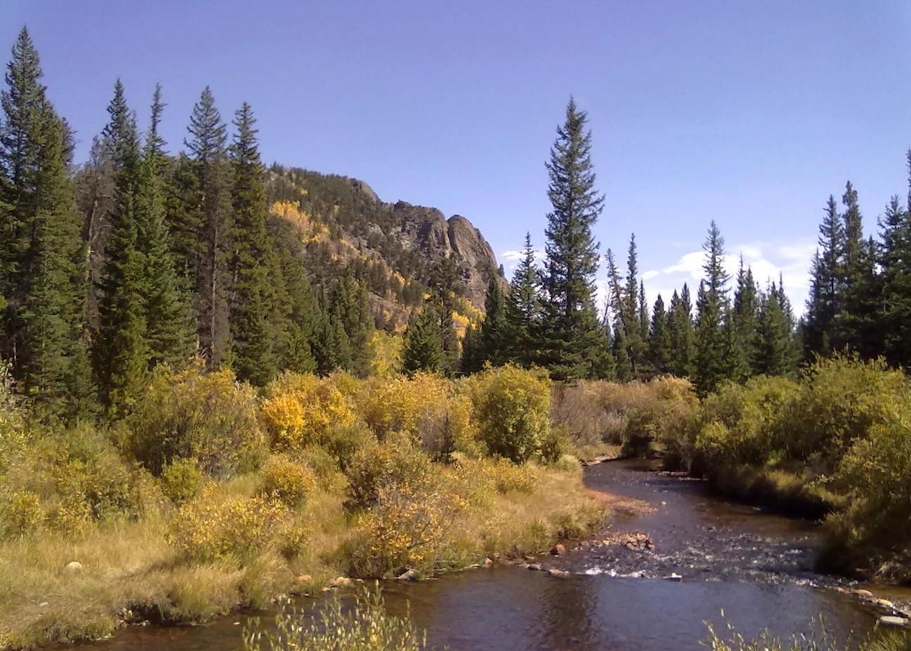 40 acres in Park County, Colorado