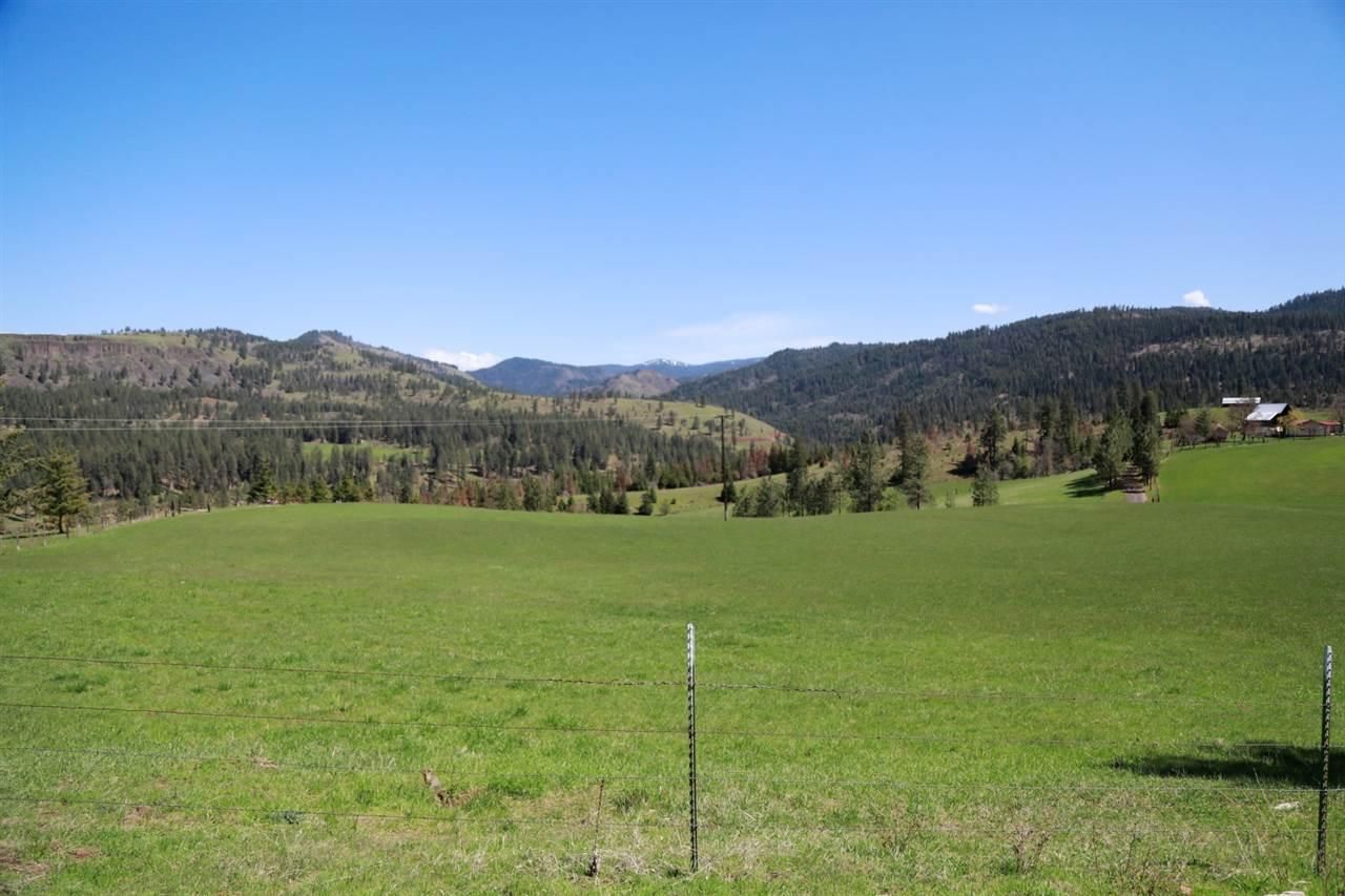 230 acres in Idaho County, Idaho