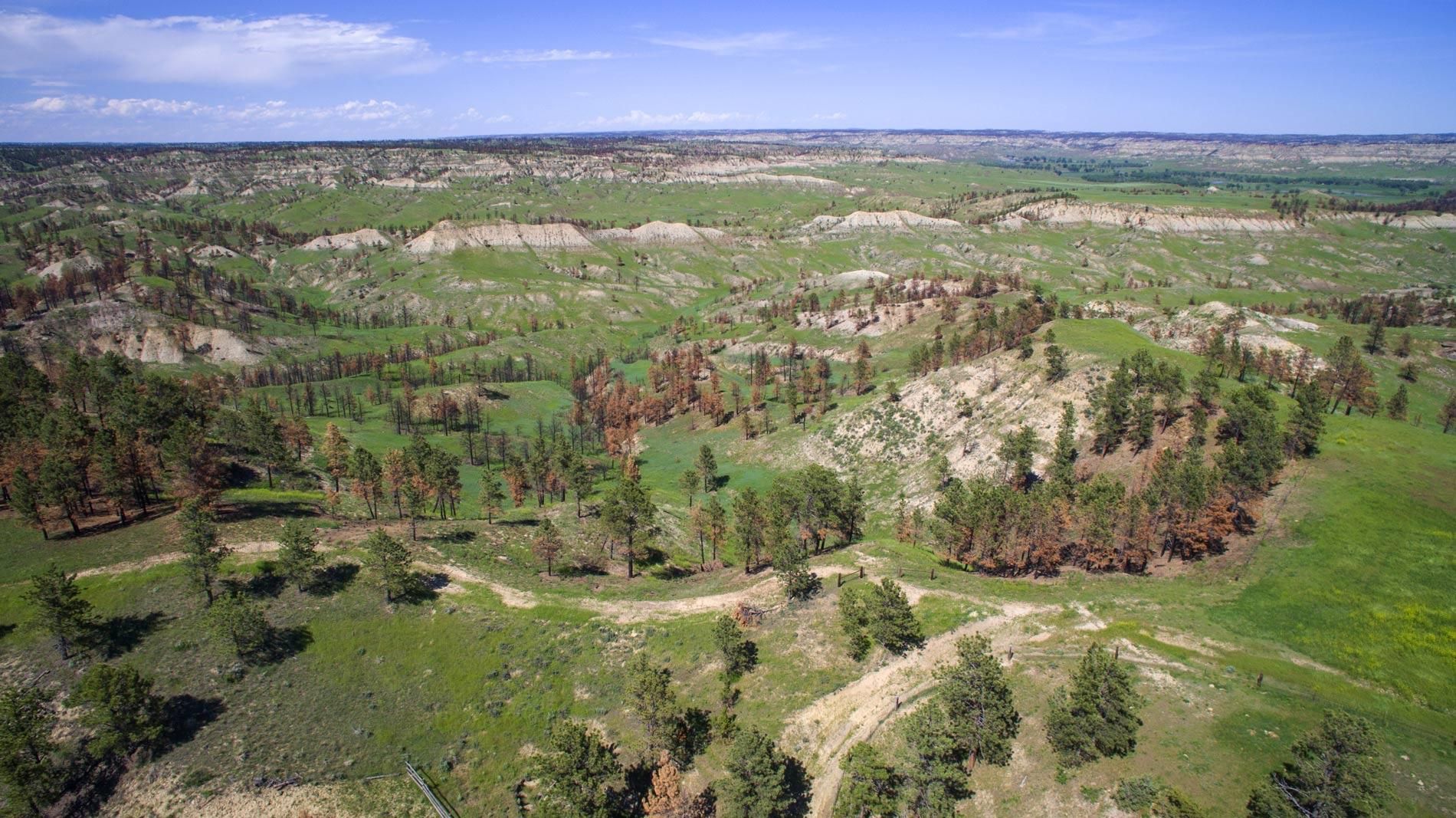 40 acres in MT, 59087 MLS MT Breaks Off the Grid Cabin