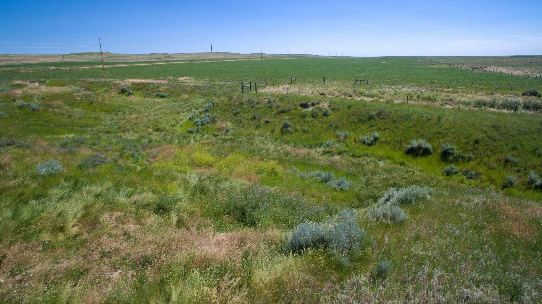 356 acres in Petroleum County, Montana
