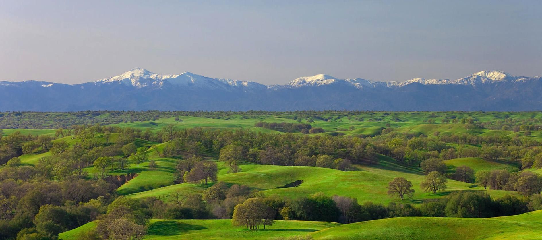 219 acres in Tehama County, California