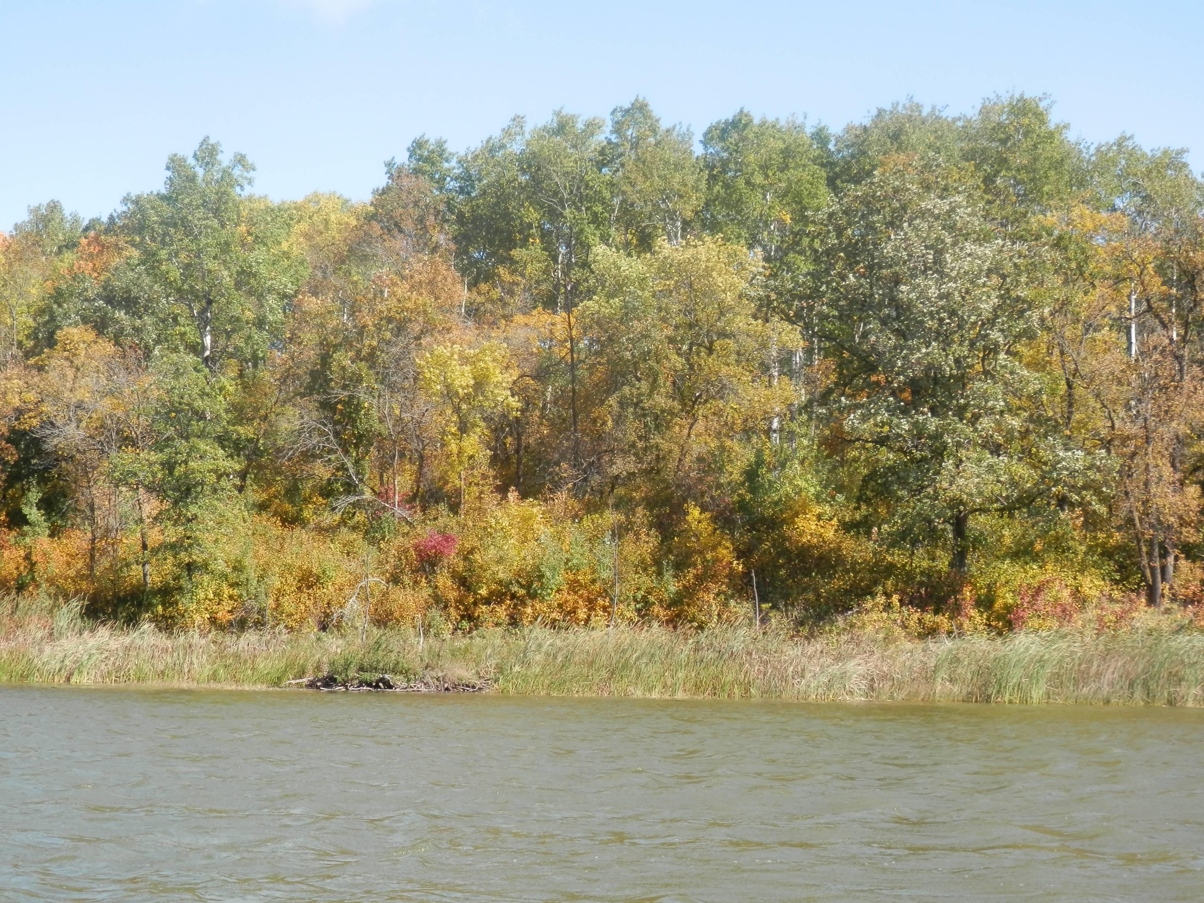 1 acres in Bottineau County, North Dakota