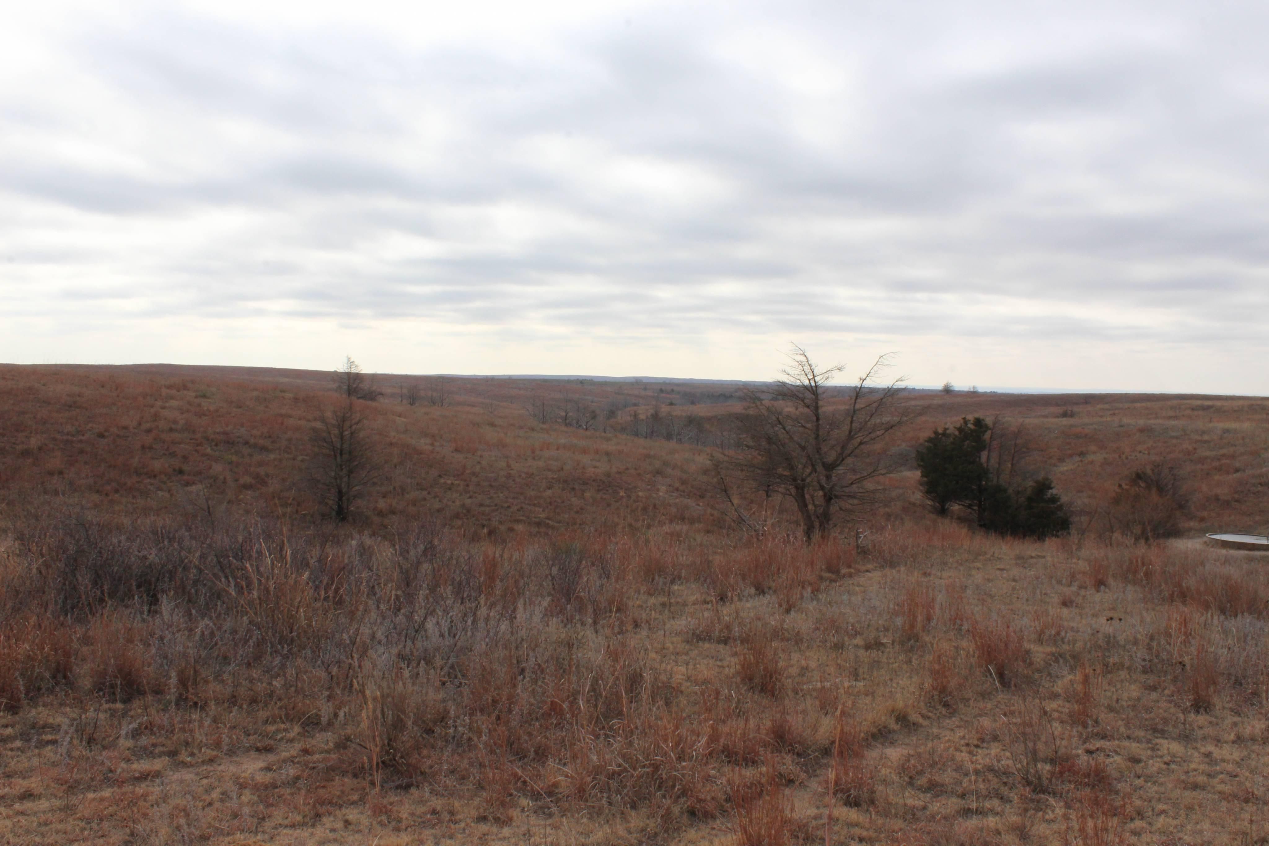 640 acres in Barber County, Kansas