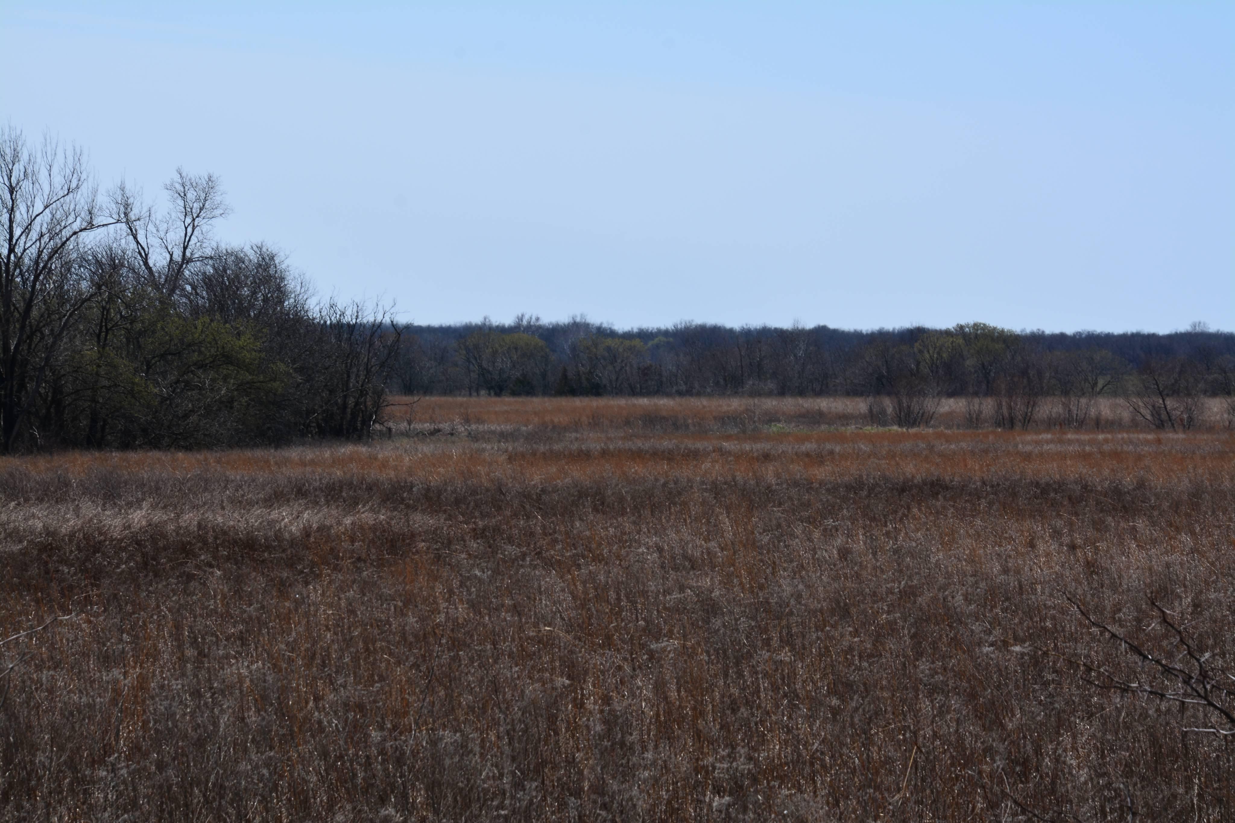 161 acres in Bourbon County, Kansas
