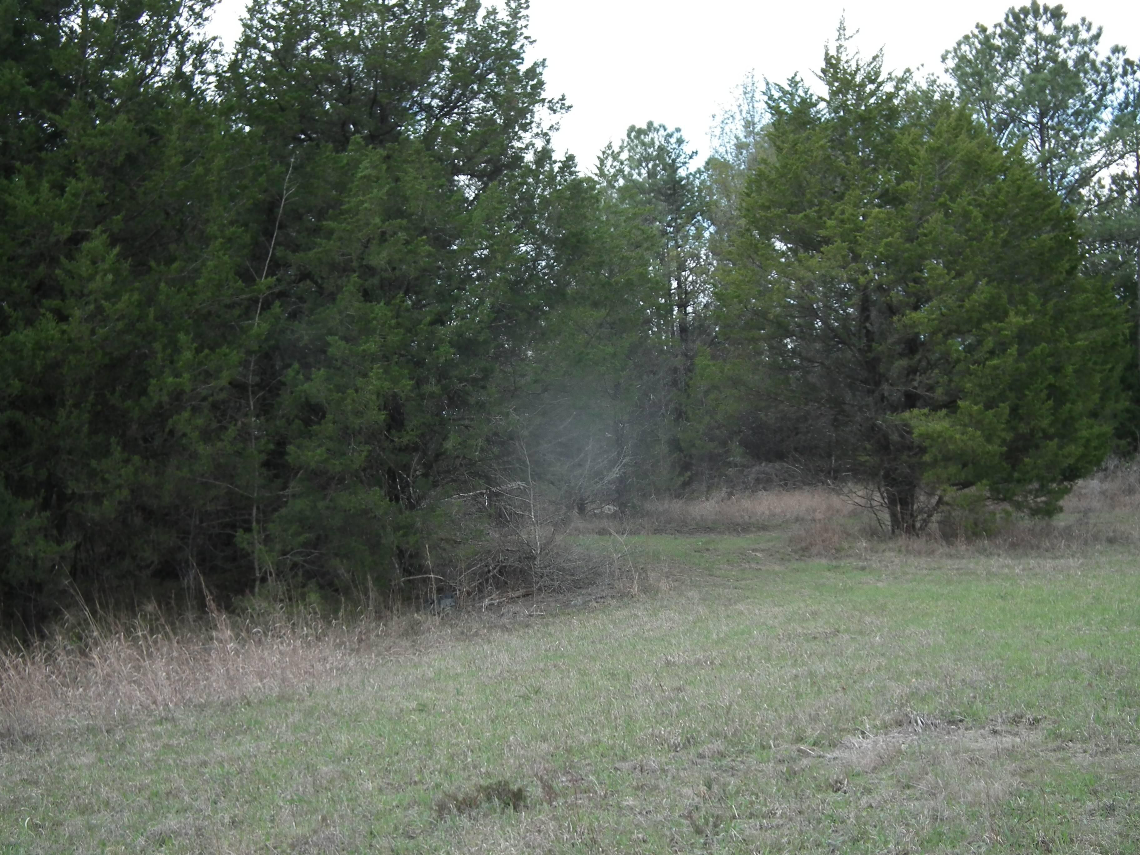 130 acres in Oktibbeha County, Mississippi