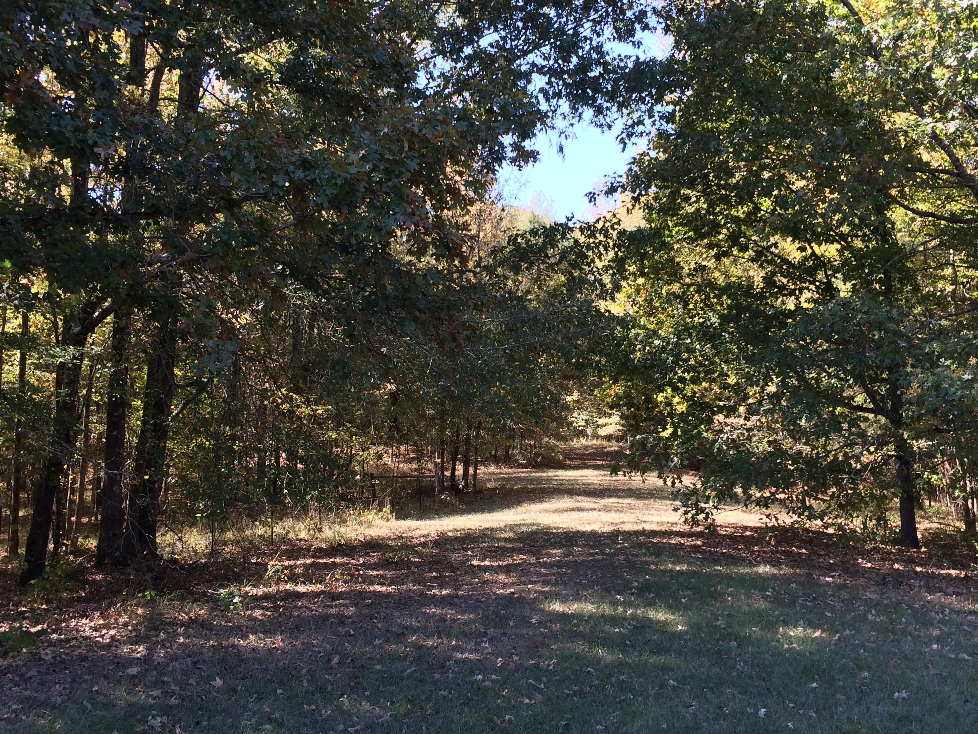 231 acres in Holmes County, Mississippi