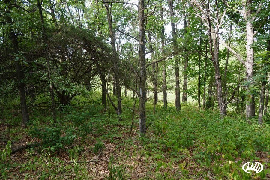 40 acres in Schuyler County, Missouri