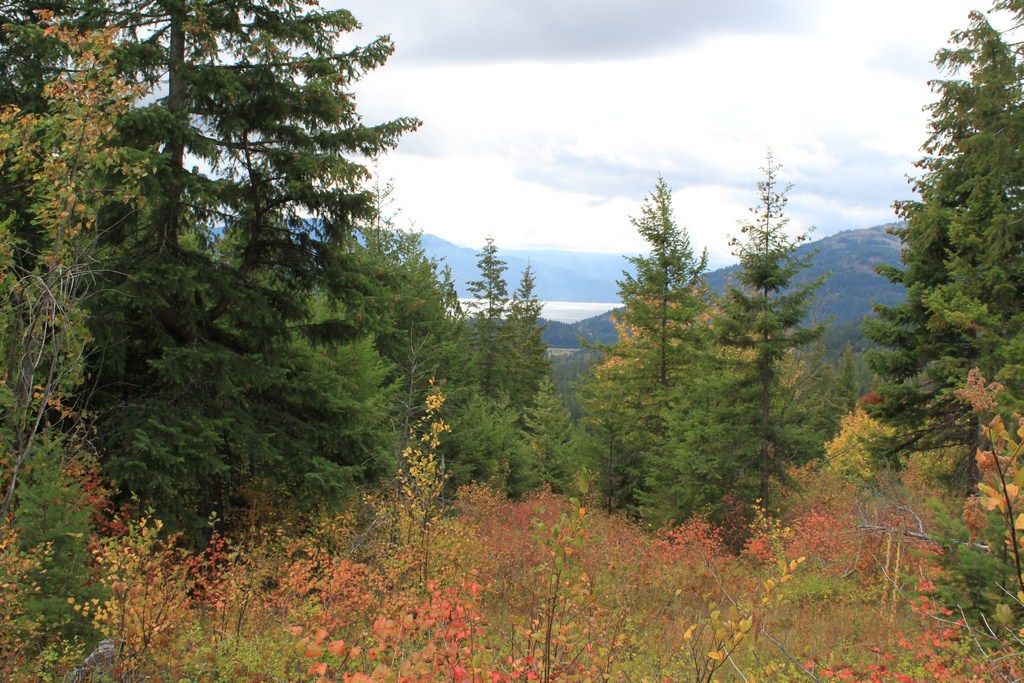 10 acres in Bonner County, Idaho