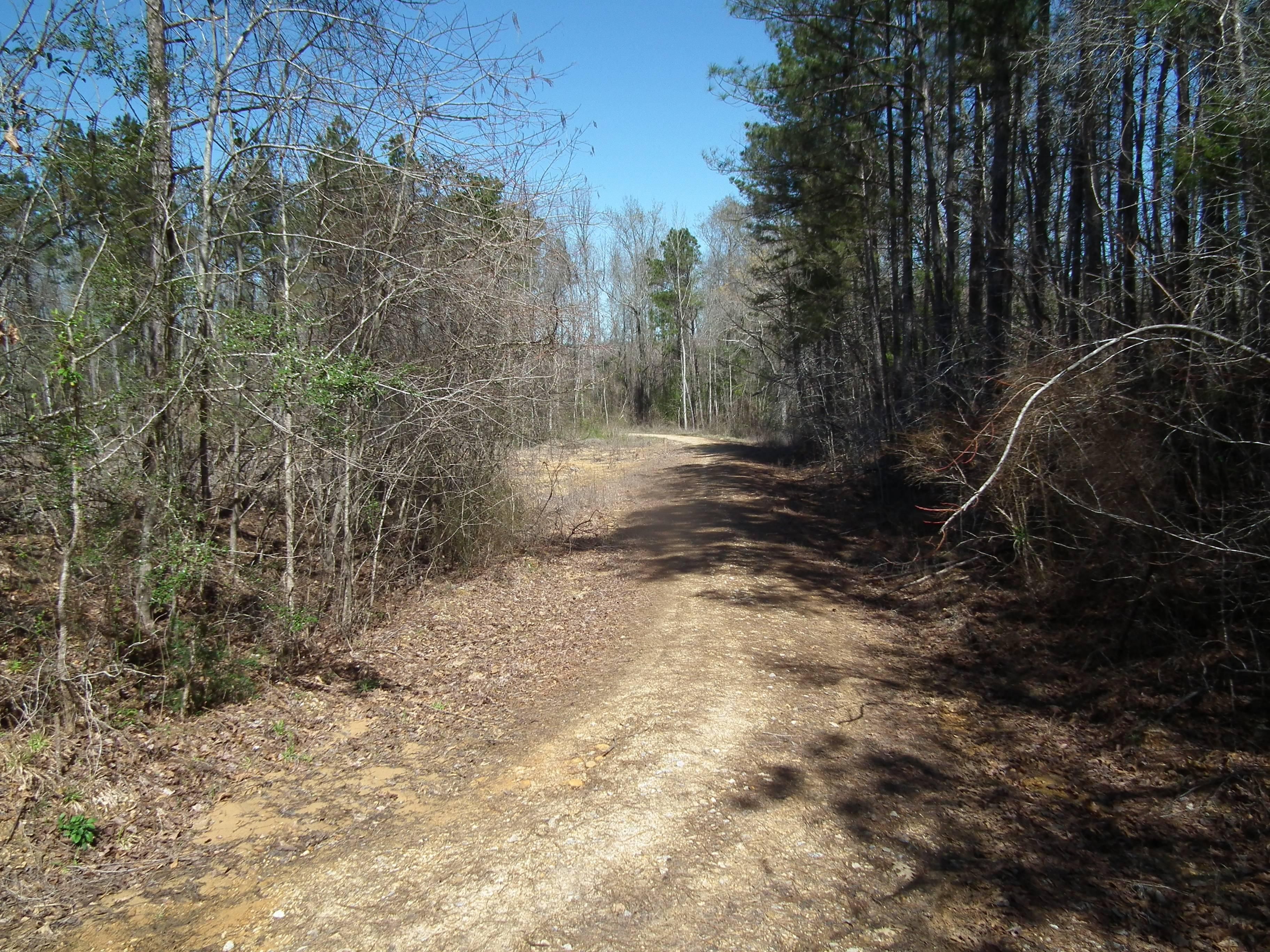 237 acres in Kemper County, Mississippi